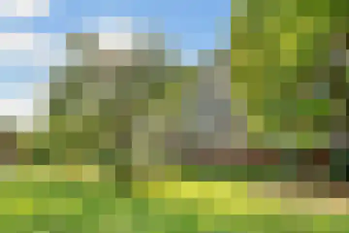 Banckertlaan 307 Hilversum thumbnail 35