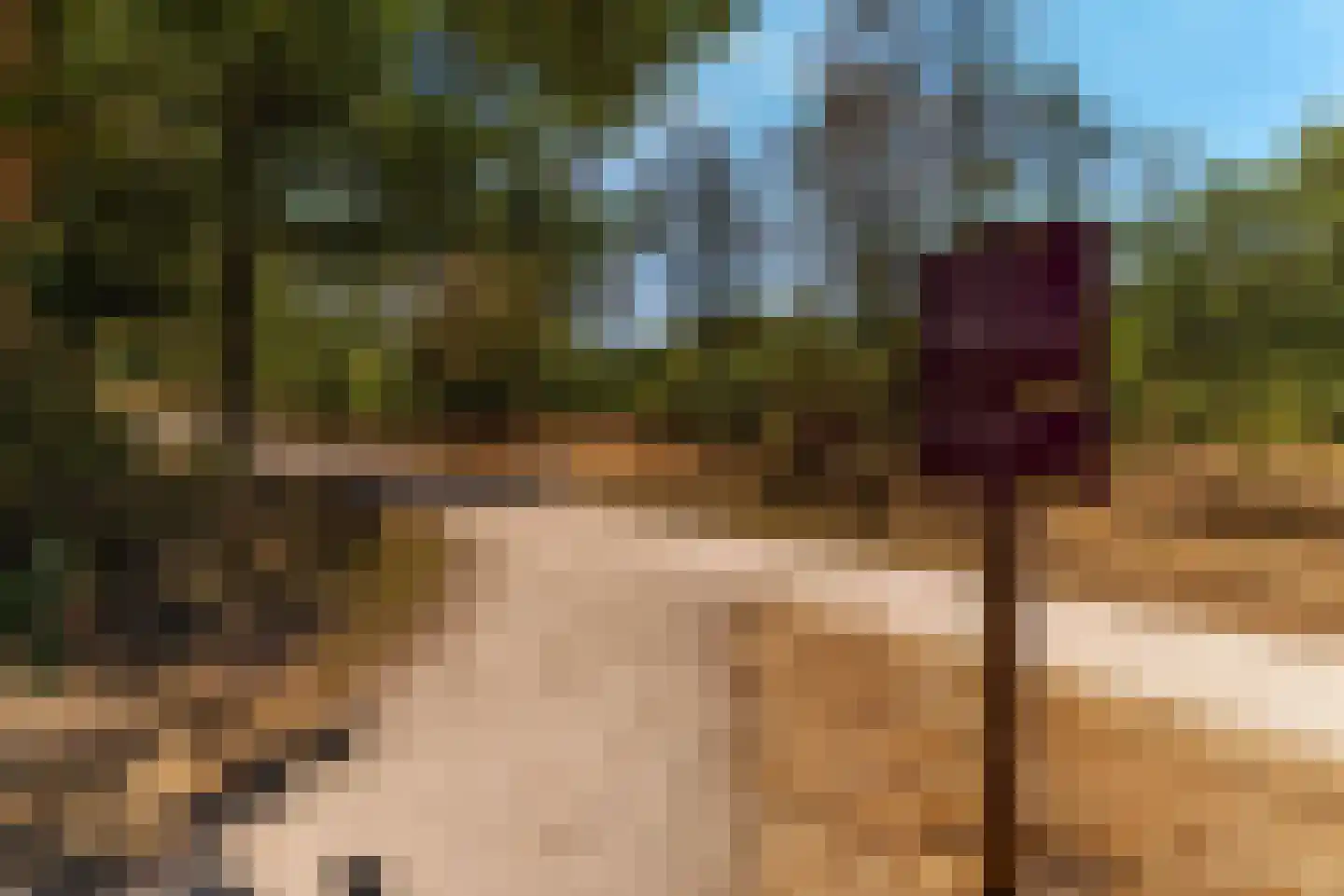 Banckertlaan 31 Hilversum thumbnail 28