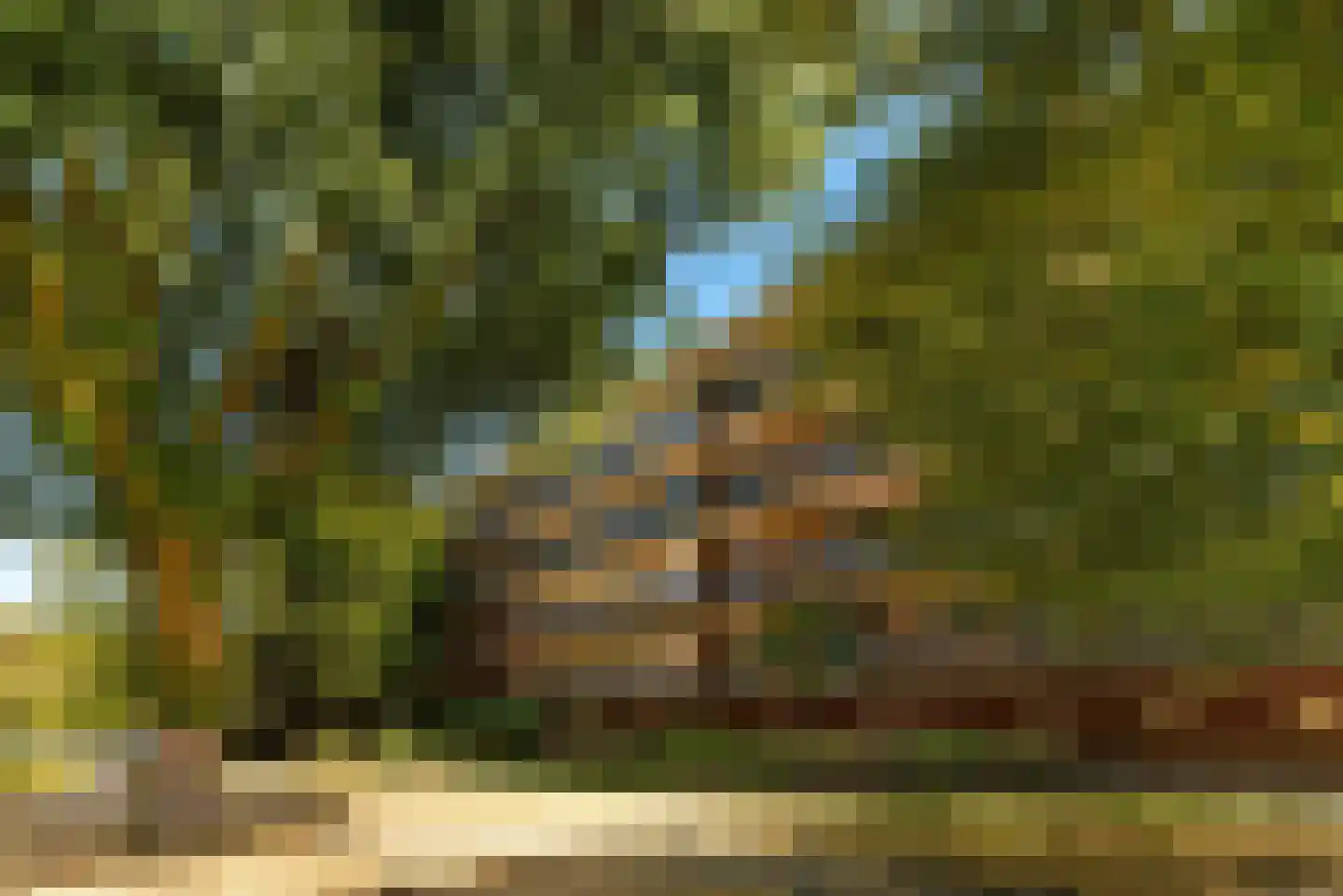 Banckertlaan 31 Hilversum thumbnail 30