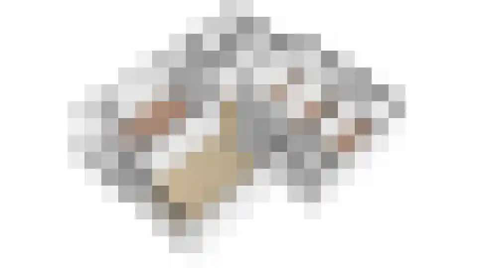 Banckertlaan 31 Hilversum thumbnail 33