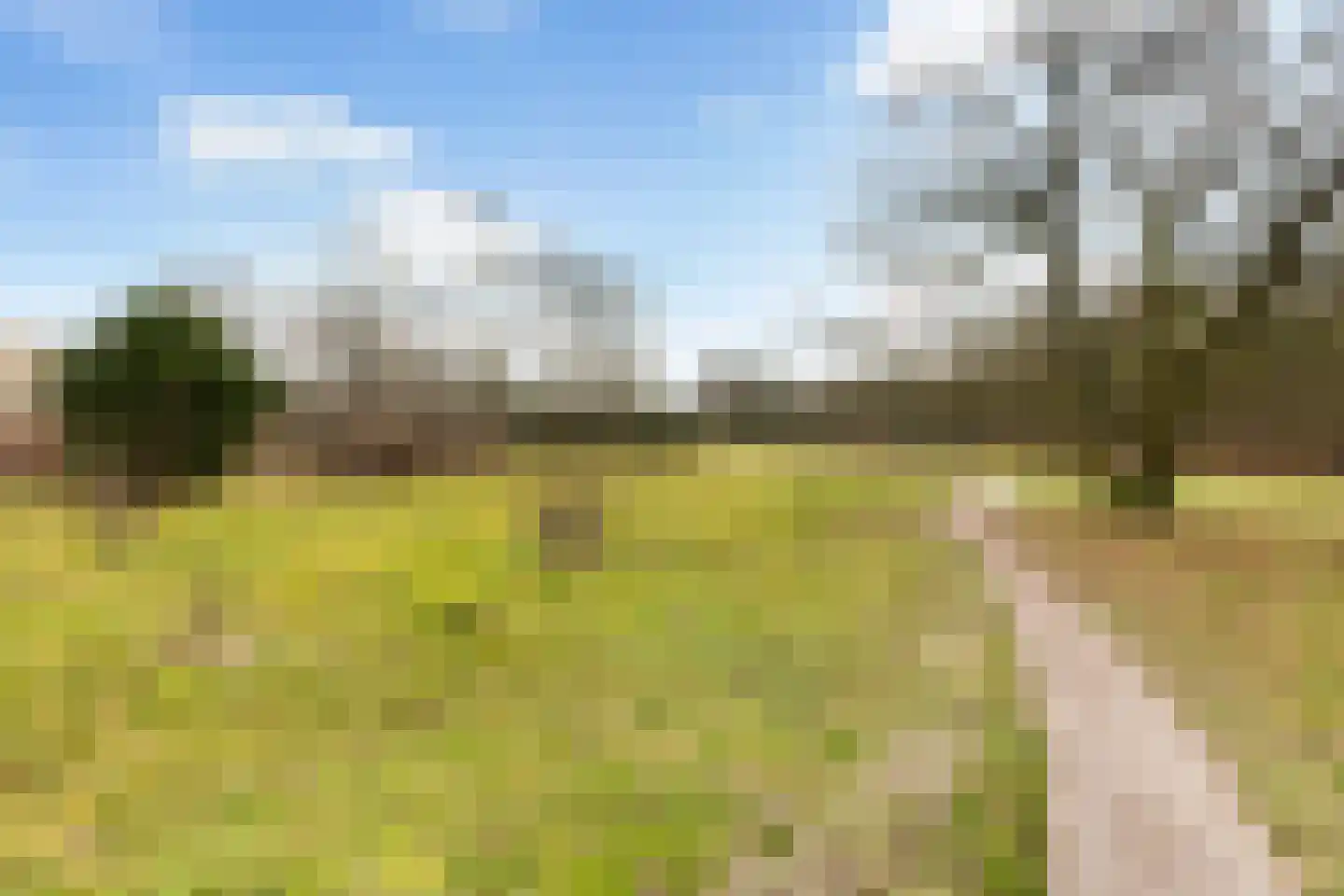 Banckertlaan 325 Hilversum thumbnail 26