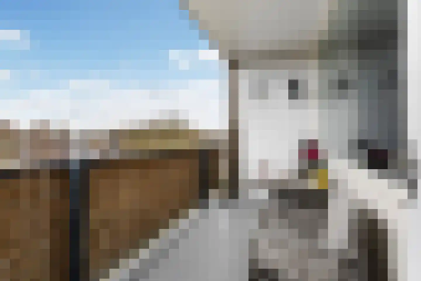 Banckertlaan 325 Hilversum thumbnail 8