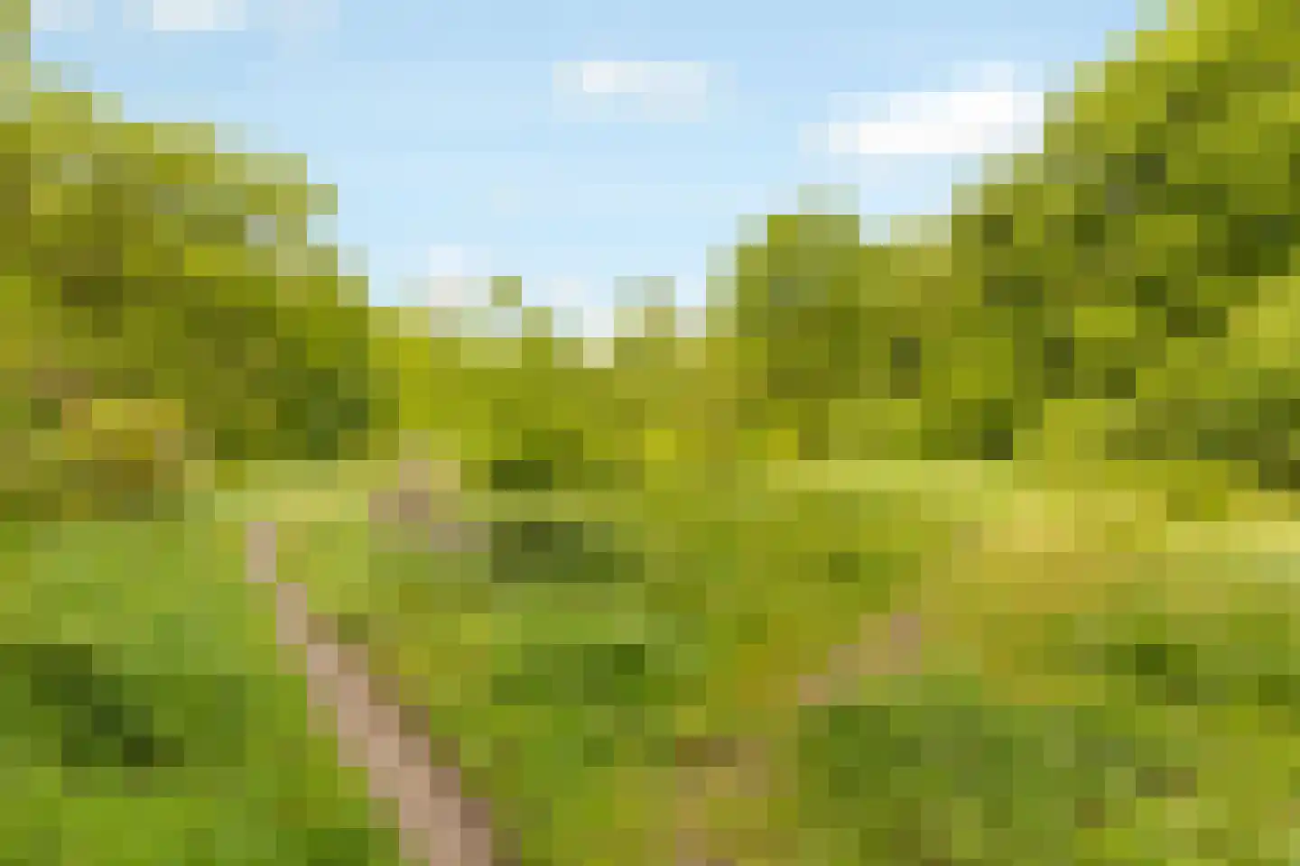 Banckertlaan 327 Hilversum thumbnail 21