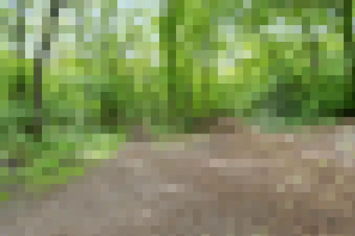 Banckertlaan 327 Hilversum thumbnail 22