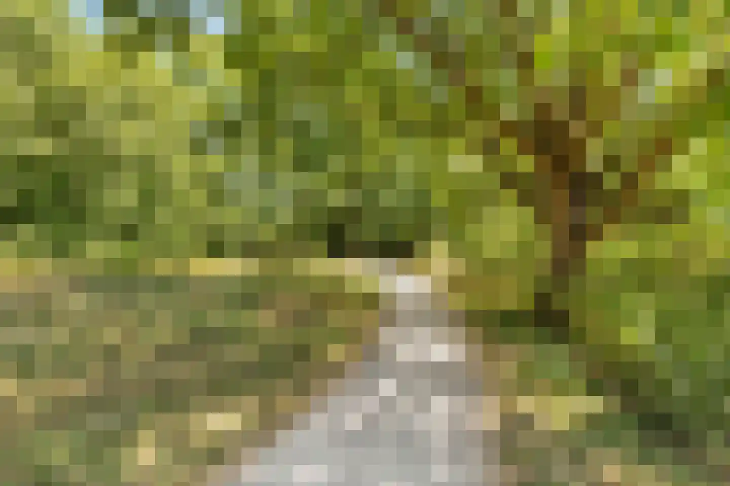 Banckertlaan 333 Hilversum thumbnail 18