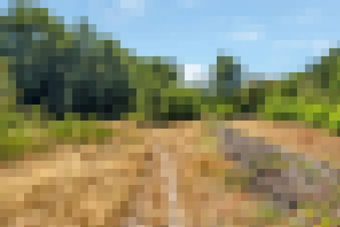 Banckertlaan 333 Hilversum thumbnail 19