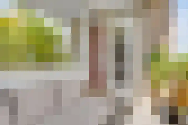 Banckertlaan 35 Hilversum thumbnail 16