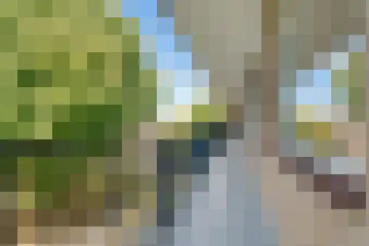 Banckertlaan 35 Hilversum thumbnail 26