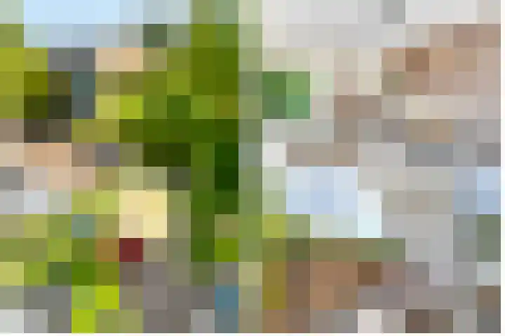Banckertlaan 35 Hilversum thumbnail 27