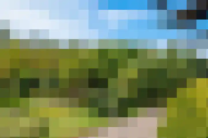 Banckertlaan 35 Hilversum thumbnail 29