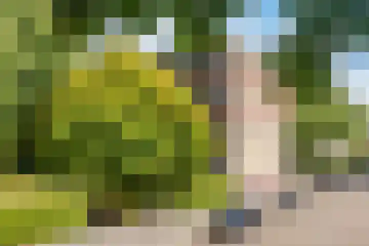 Banckertlaan 35 Hilversum thumbnail 30