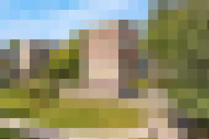 Banckertlaan 35 Hilversum thumbnail 34