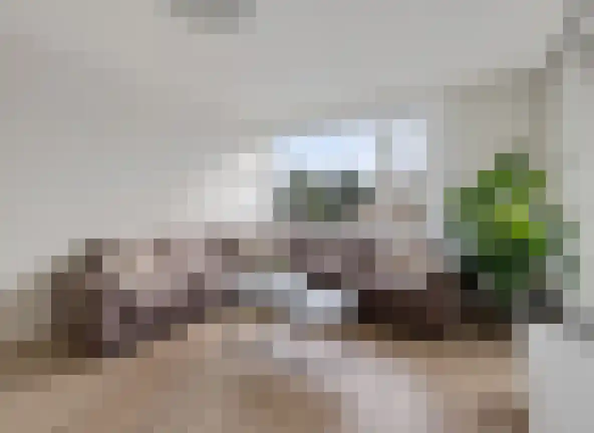 Banckertlaan 47 Hilversum thumbnail 13