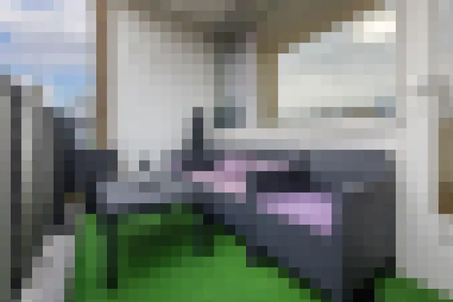 Banckertlaan 47 Hilversum thumbnail 16
