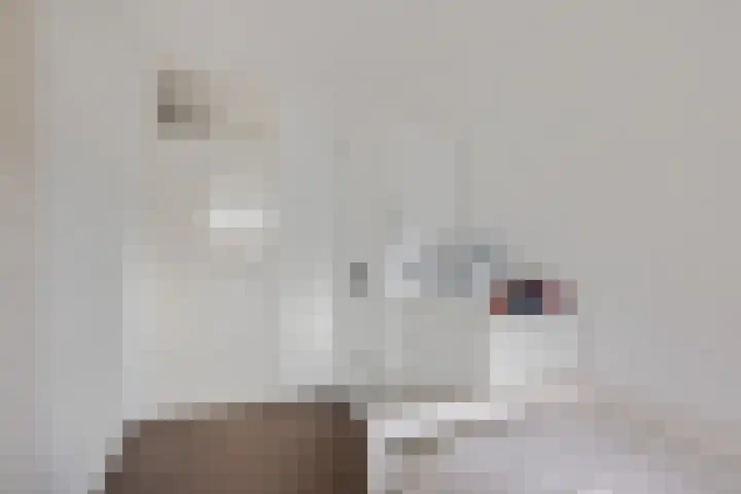 Banckertlaan 47 Hilversum thumbnail 26