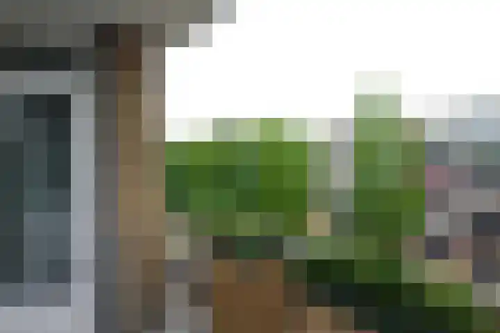 Banckertlaan 77 Hilversum thumbnail 15