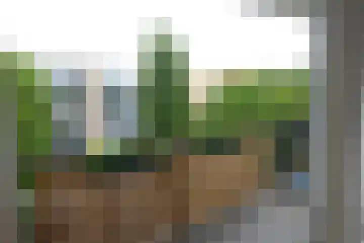 Banckertlaan 77 Hilversum thumbnail 5