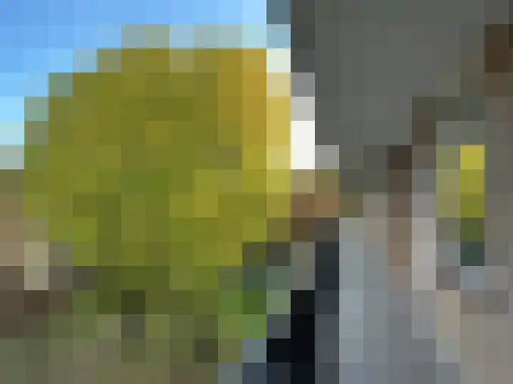 Banckertlaan 77 Hilversum thumbnail 6