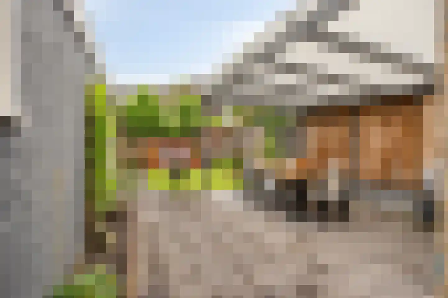 Banckertstraat 16 Haaksbergen thumbnail 5
