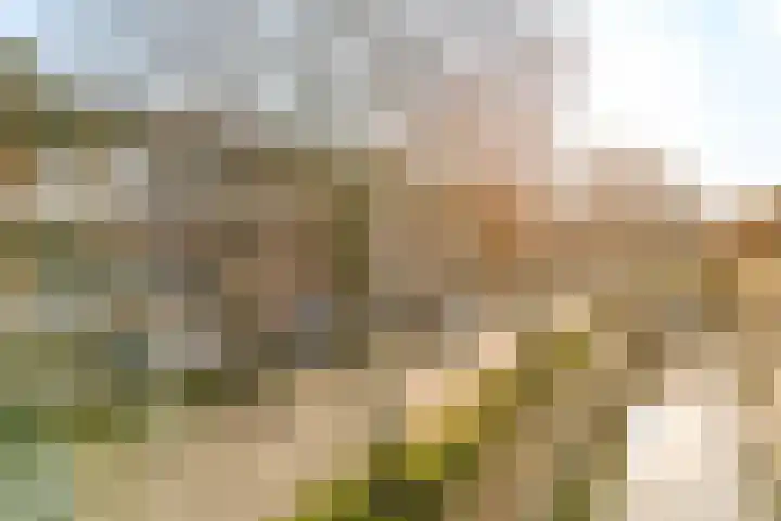 Banckertstraat 33 B Amersfoort thumbnail 31