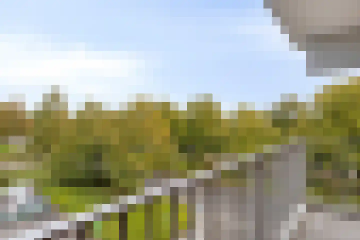 Banckertstraat 47 Terneuzen thumbnail 20