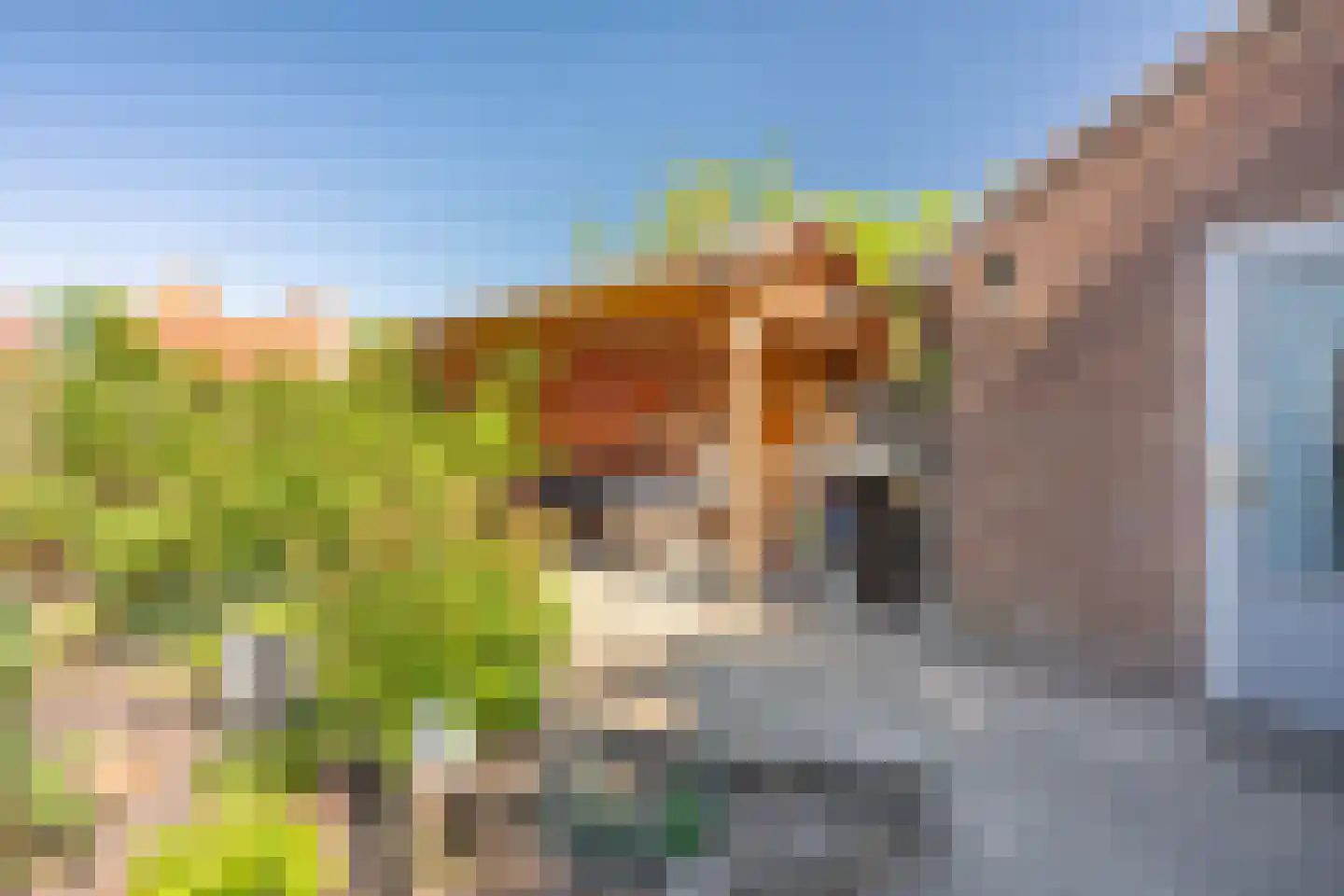 Banckertstraat 6 Middelburg thumbnail 20