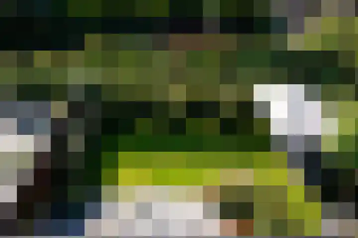 Banckspolder 40 Hoofddorp thumbnail 35