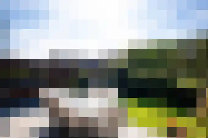 Banckspolder 40 Hoofddorp thumbnail 38