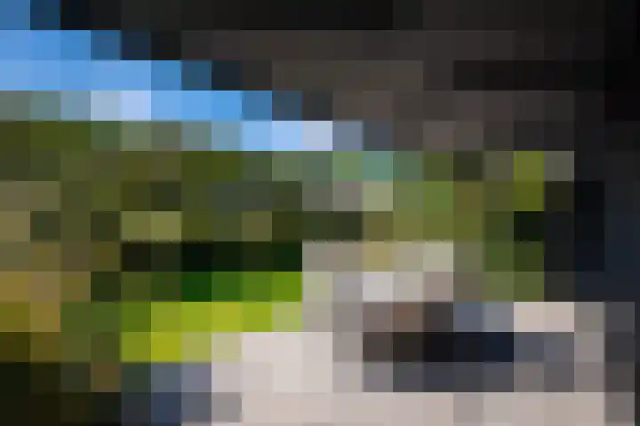 Banckspolder 40 Hoofddorp thumbnail 39