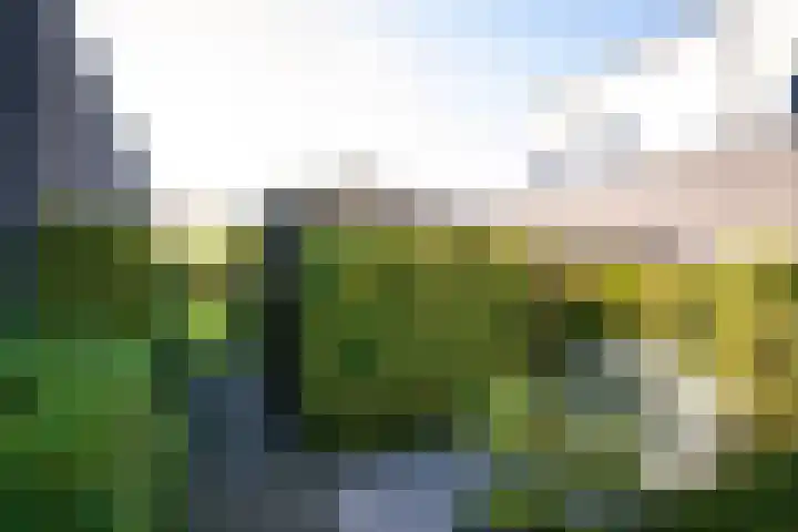 Banckspolder 40 Hoofddorp thumbnail 41