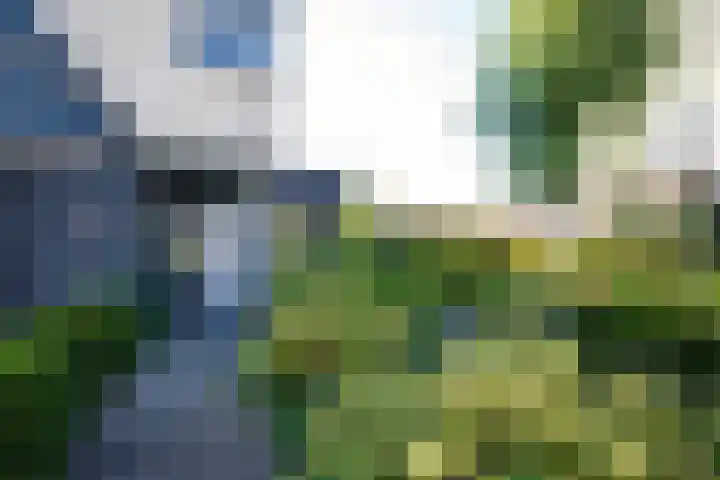 Banckspolder 40 Hoofddorp thumbnail 43