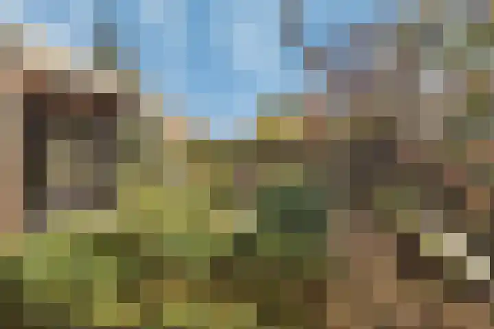 Banckspolder 46 Hoofddorp thumbnail 29