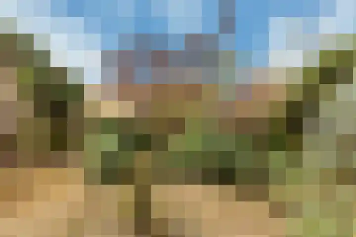 Banckspolder 46 Hoofddorp thumbnail 32