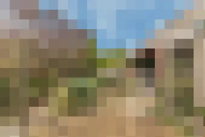 Banckspolder 46 Hoofddorp thumbnail 33