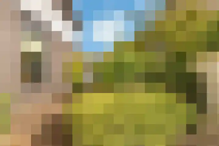 Banckspolder 46 Hoofddorp thumbnail 36