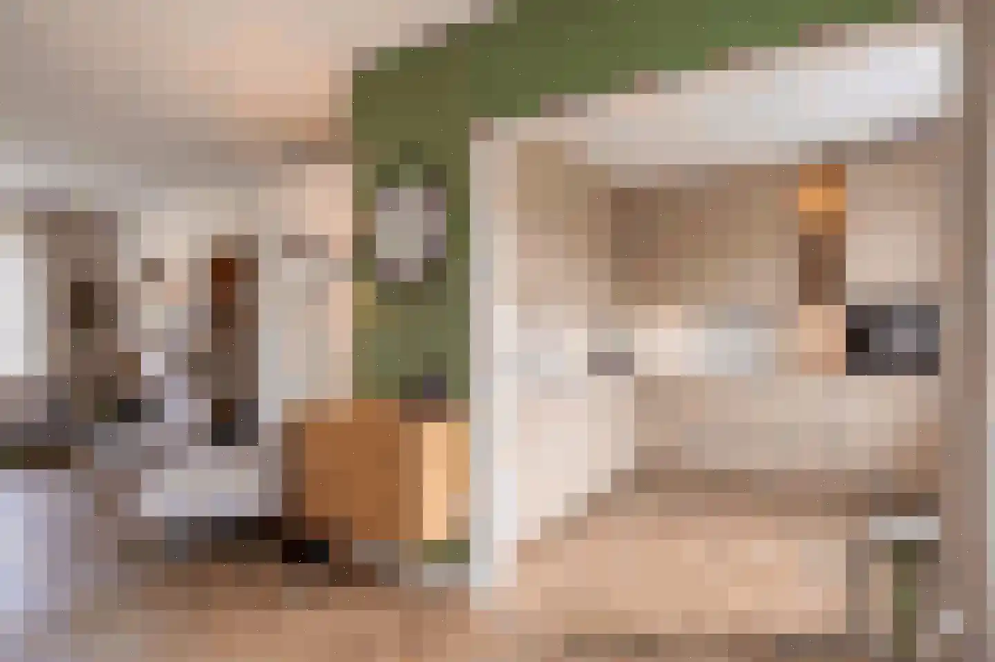 Banda Neira 2 Capelle aan den IJssel thumbnail 13
