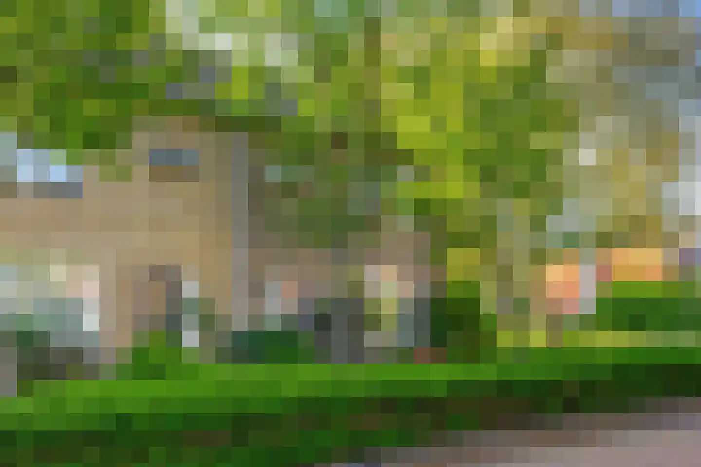 Banda Neira 2 Capelle aan den IJssel thumbnail 38