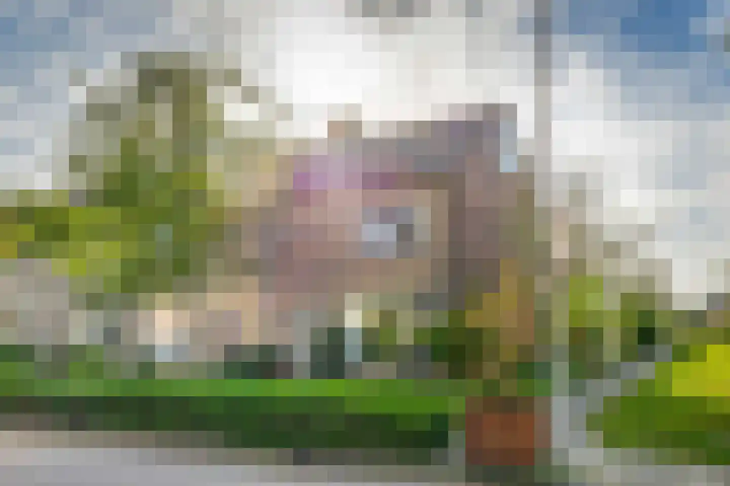 Banda Neira 2 Capelle aan den IJssel thumbnail 39