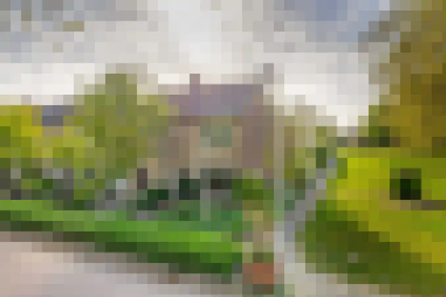 Banda Neira 2 Capelle aan den IJssel thumbnail 40