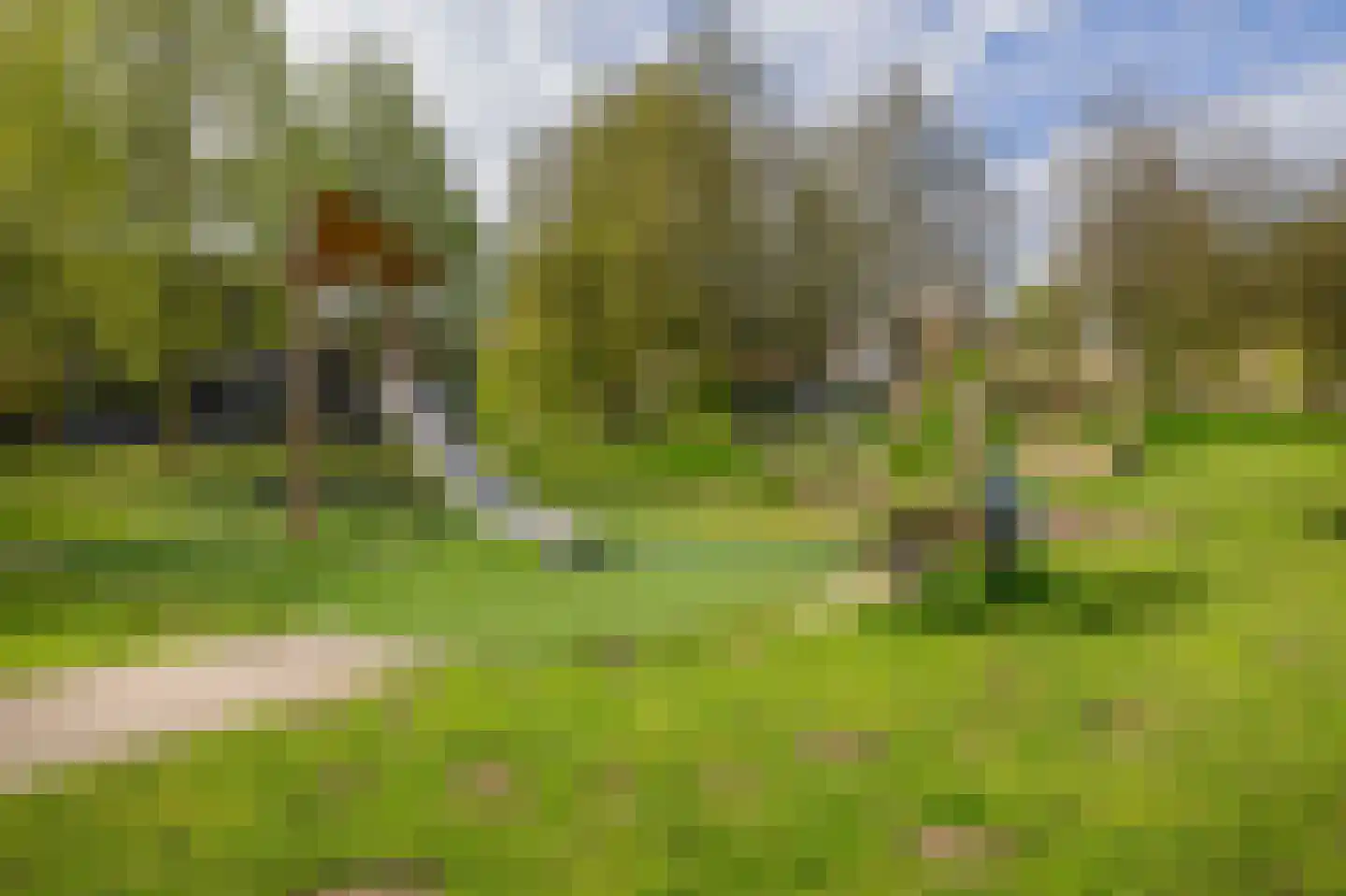 Banda Neira 2 Capelle aan den IJssel thumbnail 43
