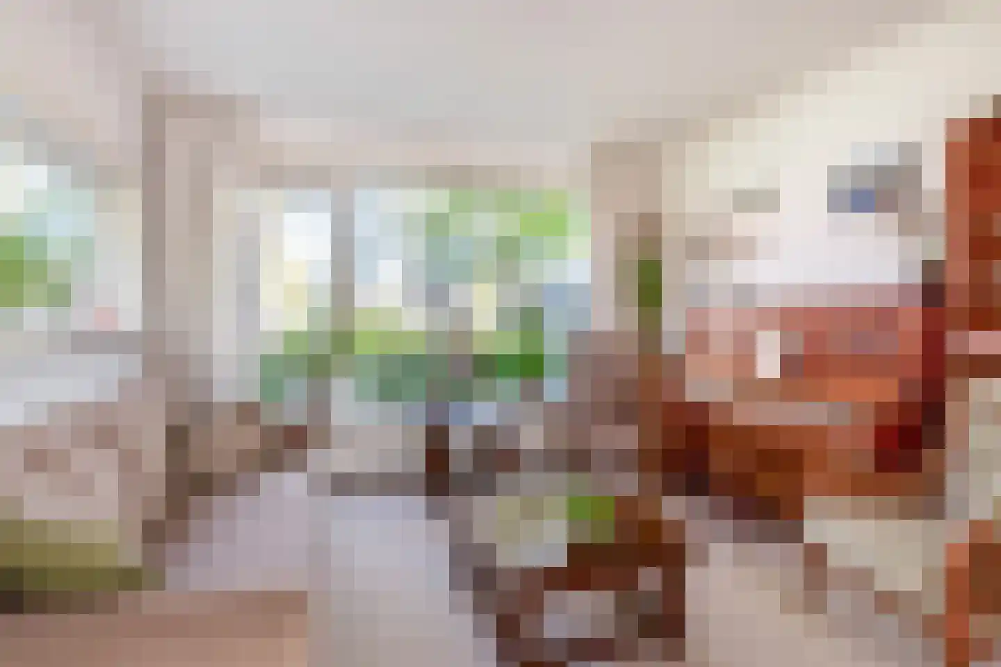 Banda Neira 2 Capelle aan den IJssel thumbnail 8