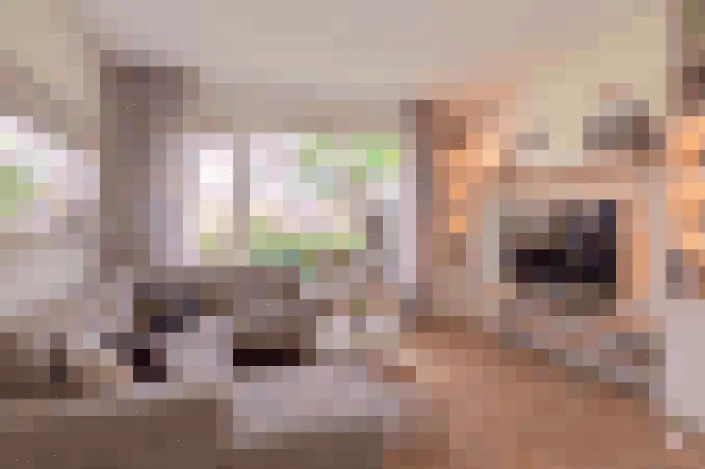 Banda Neira 2 Capelle aan den IJssel thumbnail 9