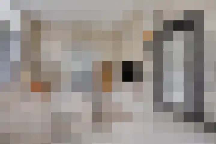 Bandalaan 1 Apeldoorn thumbnail 10