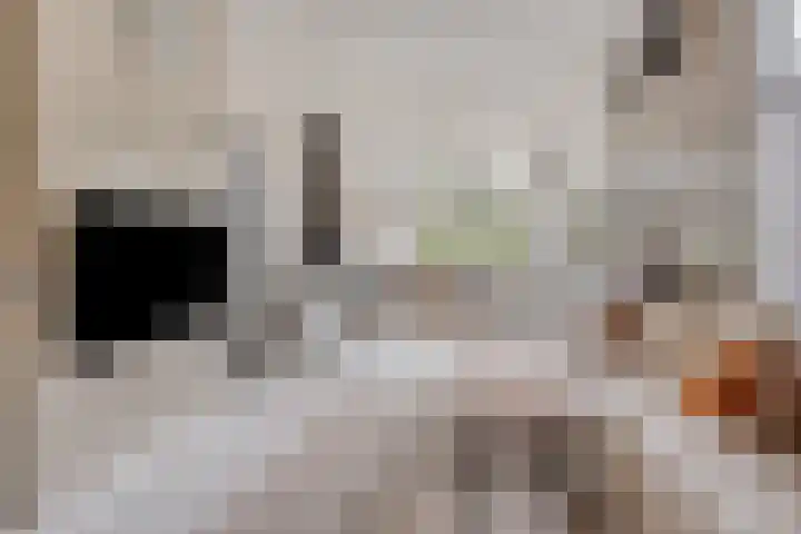 Bandalaan 1 Apeldoorn thumbnail 11