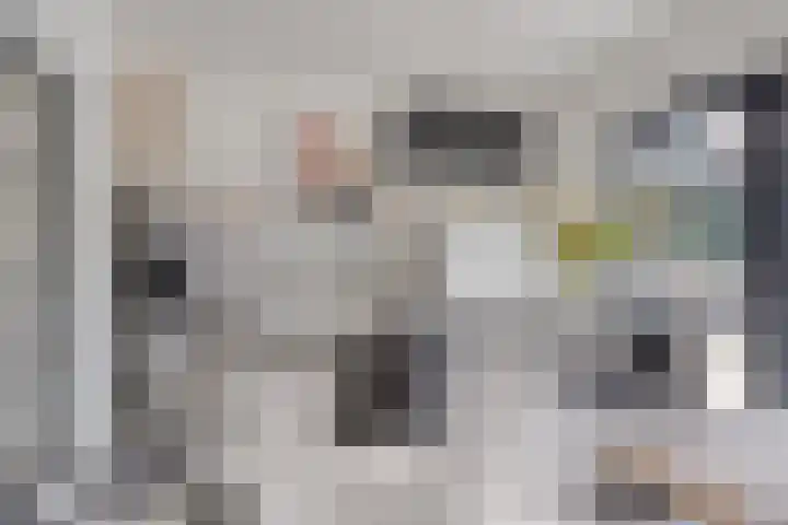 Bandalaan 1 Apeldoorn thumbnail 12