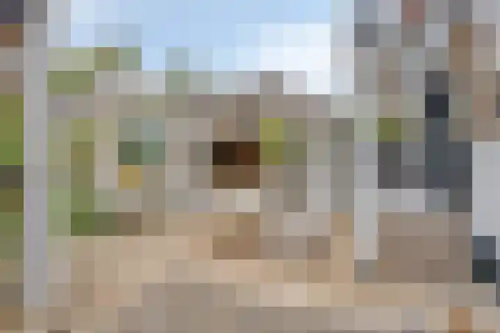 Bandalaan 1 Apeldoorn thumbnail 15