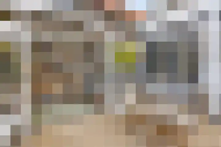 Bandalaan 1 Apeldoorn thumbnail 16