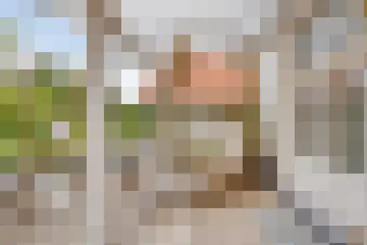 Bandalaan 1 Apeldoorn thumbnail 24