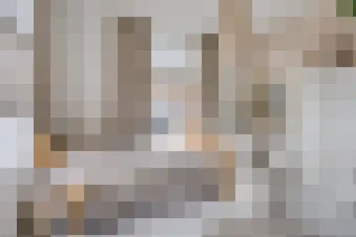 Bandalaan 1 Apeldoorn thumbnail 27