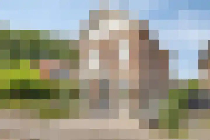 Bandalaan 1 Apeldoorn thumbnail 4